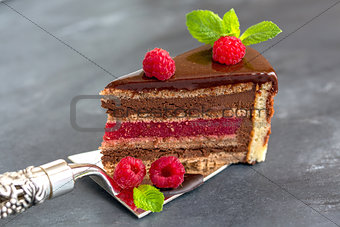 Chocolate cake with raspberry jelly.
