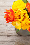 Colorful tulips bouquet in watering can