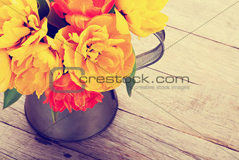 Colorful tulips bouquet in watering can. Toned