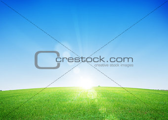 Endless green grass field and deep blue sky