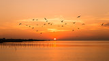 Seagulls fly together during the sunrise