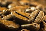 detail of medium roasted coffee beans