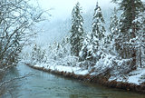 Small winter stream with snowy trees.