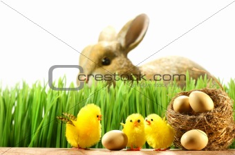 Three little chicks in the grass