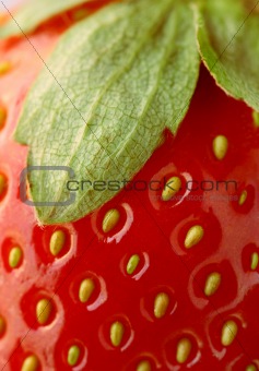 Strawberry closeup