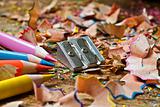 colored pencils sharpener and shavings