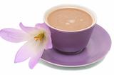 The lilac flower and cup from coffee are isolated on a white background