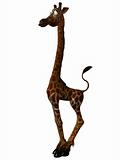 Toon Giraffe