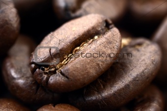 coffee grain