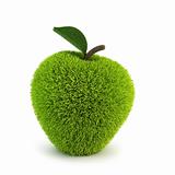 green fur apple