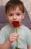 The nice boy with a rose in a hand