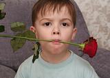 The nice boy holds a red rose in a mouth