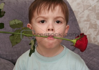 The nice boy holds a red rose in a mouth