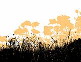 Black grass with light orange poppy flowers. Vector
