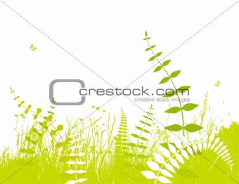 Illustration with plants. Vector