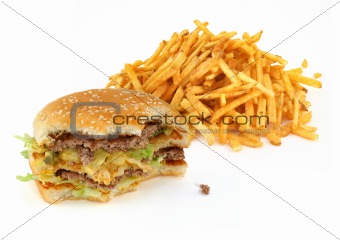 half-eaten hamburger and french fries