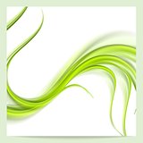 Abstract elegant green wavy pattern background