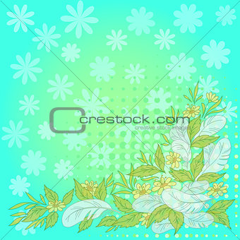 Flowers, leaves, feathers on blue and green