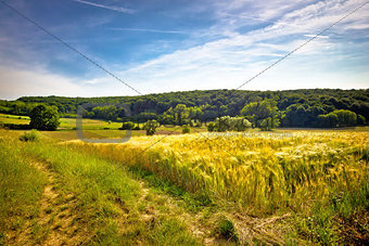 Idyllic agricultural landscape summer view
