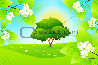 Green Landscape with Flowers