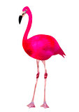 Vibrant pink flamingo bird low poly triangle vector image