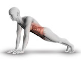 3D male medical figure with partial muscle map in yoga pose