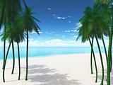 3D palm trees on a beach