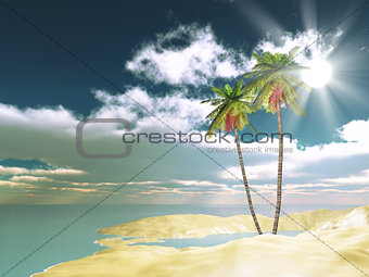 3D palm trees on sand background