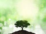3D tree on a mound of soil against a bokeh background