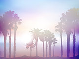 Summer palm tree landscape with retro effect