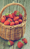 Forest Strawberries
