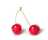 Two red juicy sweet cherries sloping