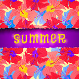 summer background