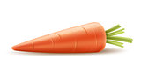 Red carrot organic vegetable