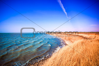 Empty beach in the sea bay spikelets