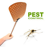pest control NYC