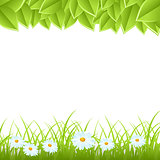template with leaves and grass