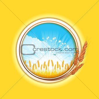 wheat border and field 