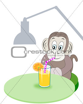 Monkey with Refreshment