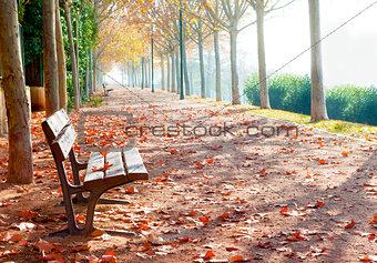Park bench scenery