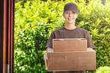 Attractive delivery woman with two cardboard boxes