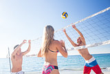 Group of friends playing volleyball