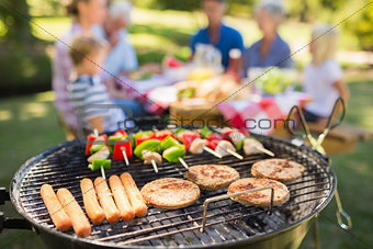 Family doing barbecue in the park