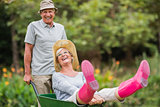 Happy senior couple playing with a wheelbarrow