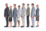 Business team standing in row and smiling at camera