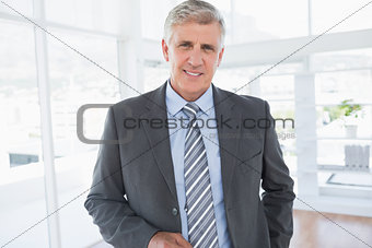 Smiling businessman looking at camera