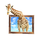 Giraffe in bamboo frame with 3d effect