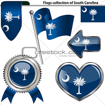 Glossy icons with flag of South Carolina