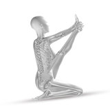 3D female medical figure in yoga position