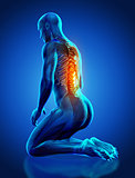 3D male medical figure with spine highlighted in kneeling positi